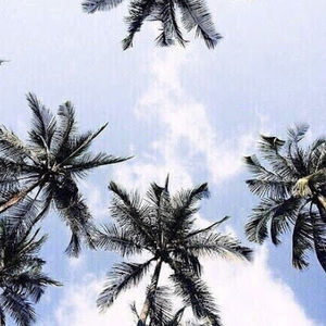 Meet your Posher, Audrey